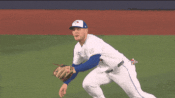 Blue Jays Canada GIF by Toronto Blue Jays