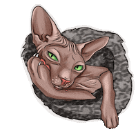 Cat Nails Sticker