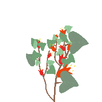 Marya12817 tree plant red flowers beirut tree Sticker