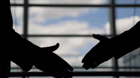 Quantum_Gully giphyupload luxury wardrobe interwood GIF