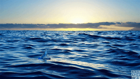 blue planet oceans GIF by BBC America