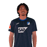 Sport Bundesliga Sticker by TSG Hoffenheim
