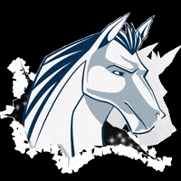 MIS_Madison colts madison mis colt GIF