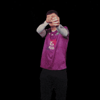 All-Ireland Camogie GIF by AIB