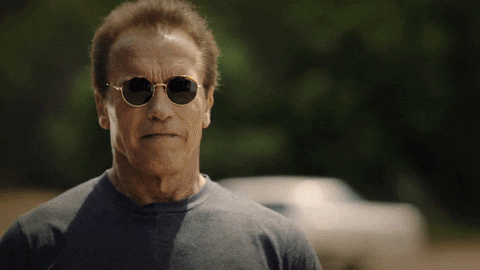 arnold schwarzenegger GIF