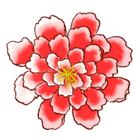 恭喜 Chinese New Year GIF