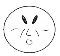 Straykids Leeknow Sticker