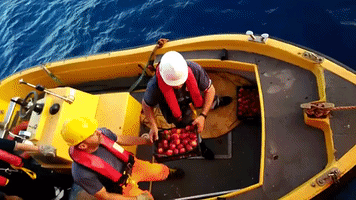 Food And Medicine Delivered To Migrant Rescue Boat in Mediterranean