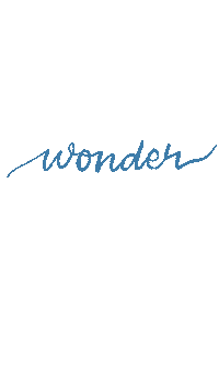 Shawn Mendes Calligraphy Sticker