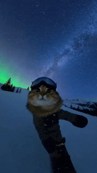 Running Late On My Way GIF