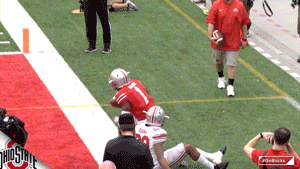 Ncaa Sports GIF by Ohio State Athletics