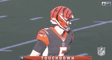 Regular Season Football GIF by NFL