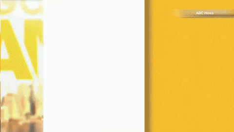 newscaststudio giphyupload GIF