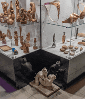 stereo_kontora museum pinkrabbit GIF