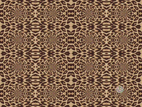 recursia giphyupload art trippy psychedelic GIF