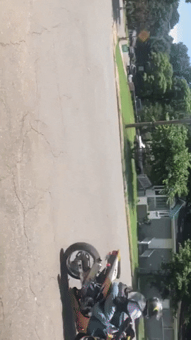 awattsGIFS giphygifmaker GIF