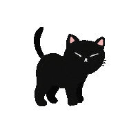 Cat Sticker