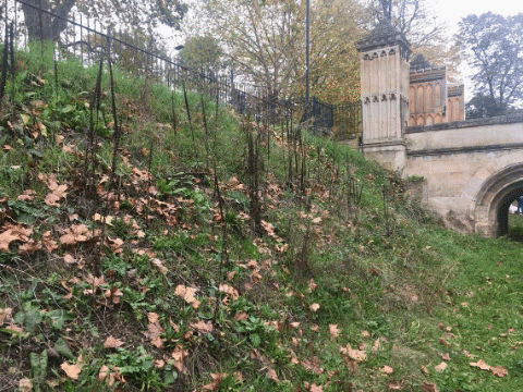 bethn90 giphygifmaker GIF