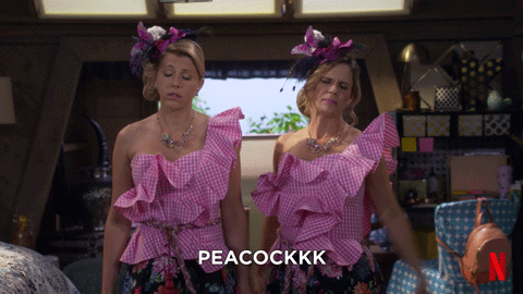 season 3 peacock GIF by NETFLIX