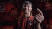 Premier League Football GIF by AFC Bournemouth