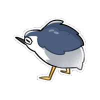 Night Heron Bird Sticker