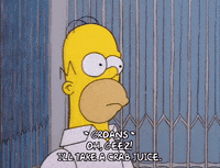 homer simpson GIF