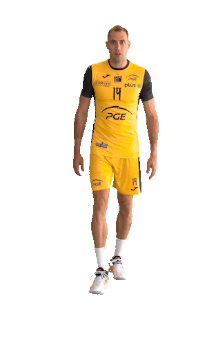 Atanasijevic Sticker by PGE Skra Bełchatów