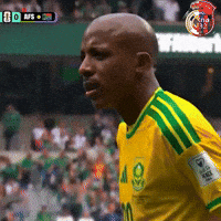 World Cup Football GIF