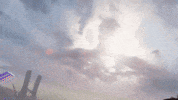 Destiny 2 Skateboard GIF by DestinyTheGame