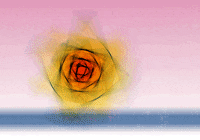 color spin GIF by The NGB