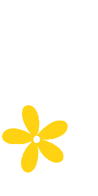 Flowers Daisies Sticker