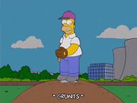 homer simpson episode 10 GIF
