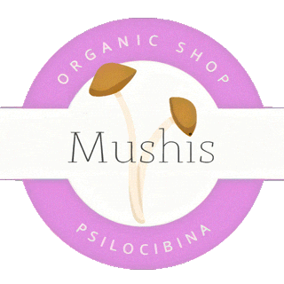 Mushroom Seta Sticker