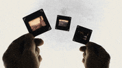 GIF by A. L. Crego