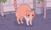 Cat Cream GIF