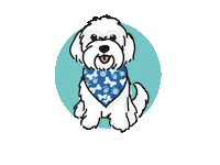 Cody Codybear Sticker