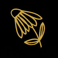 threadedbytatum nature flowers leaves botanical GIF