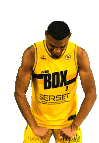 Basket Bordeaux Sticker by JSABMB