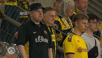 Borussia Dortmund Fans GIF