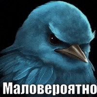 Blue Bird GIF