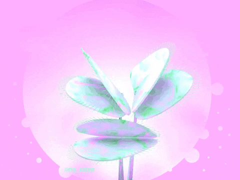 hungry venus fly trap GIF by eve_agram