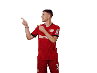 Bayer 04 Werkself Sticker by Bayer 04 Leverkusen
