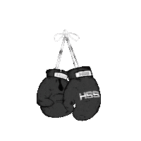 Boxing Holywings Sticker by HW Group