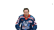 Huskie Sticker by EC Kassel Huskies