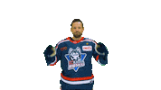 Eishockey Sticker by EC Kassel Huskies