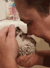 hedgehog GIF