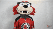 No Idea Idk GIF by Huntsville Havoc