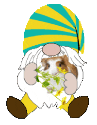 My Pet Gnome Sticker