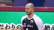Lets Go Reaction GIF by Volleyball World