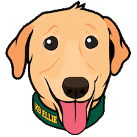 Dog Police Sticker by Brockport